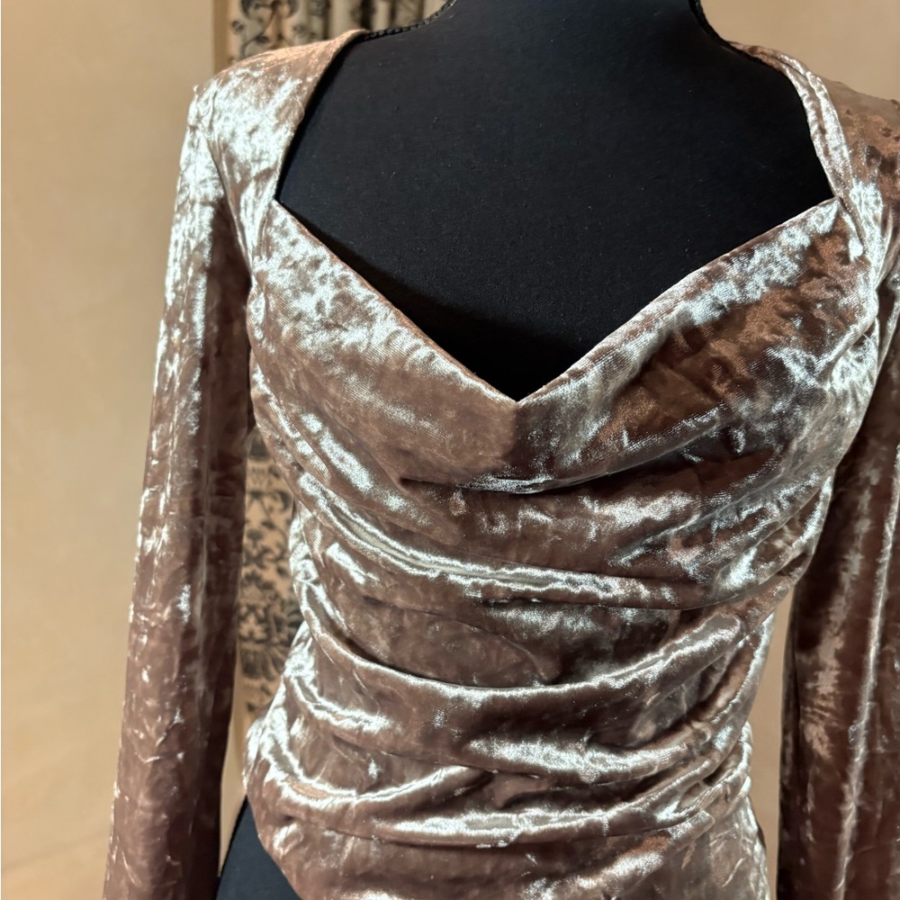 Free People Shiny Velvet Top in Brown